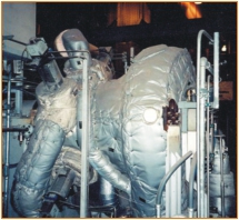 金狮贵宾会·宾至如归-尊贵显赫